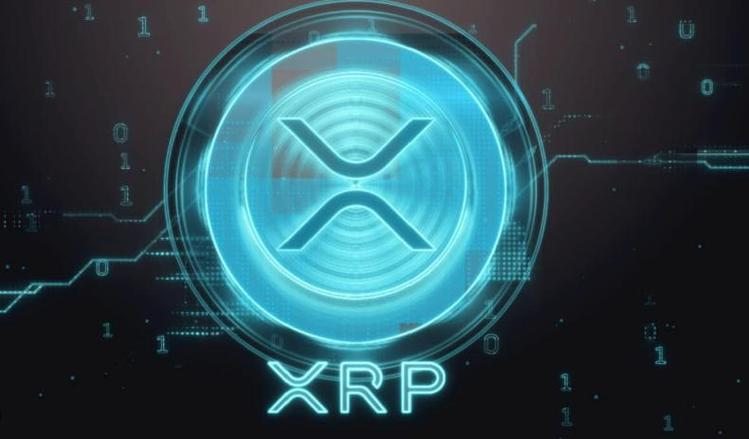 半岛体育APP-包含XRP上扬势惊人，一夜飙升OP%，加密市场沸腾的词条