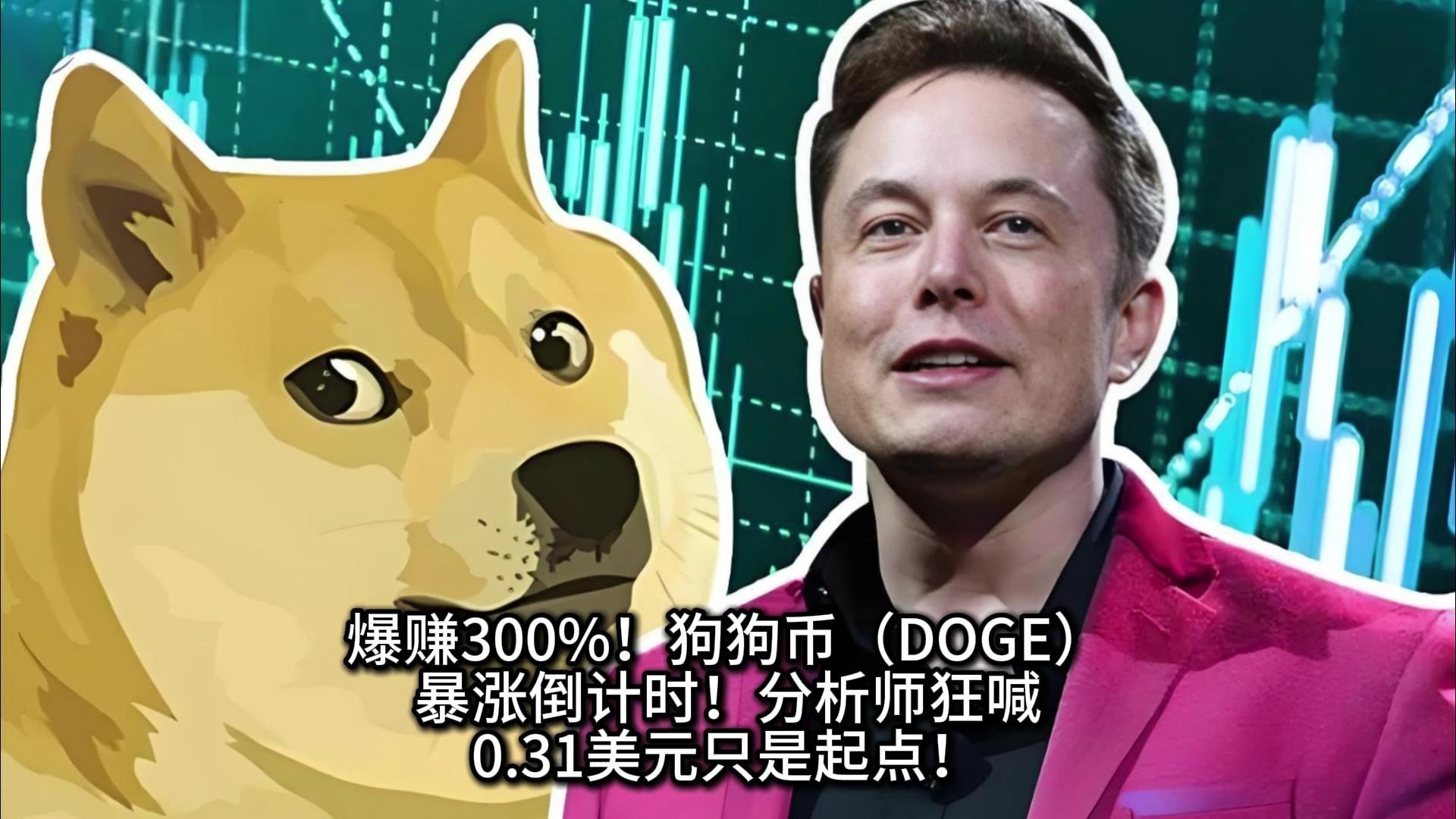 狗狗币冲破341美元大关，牛市是否已来临？