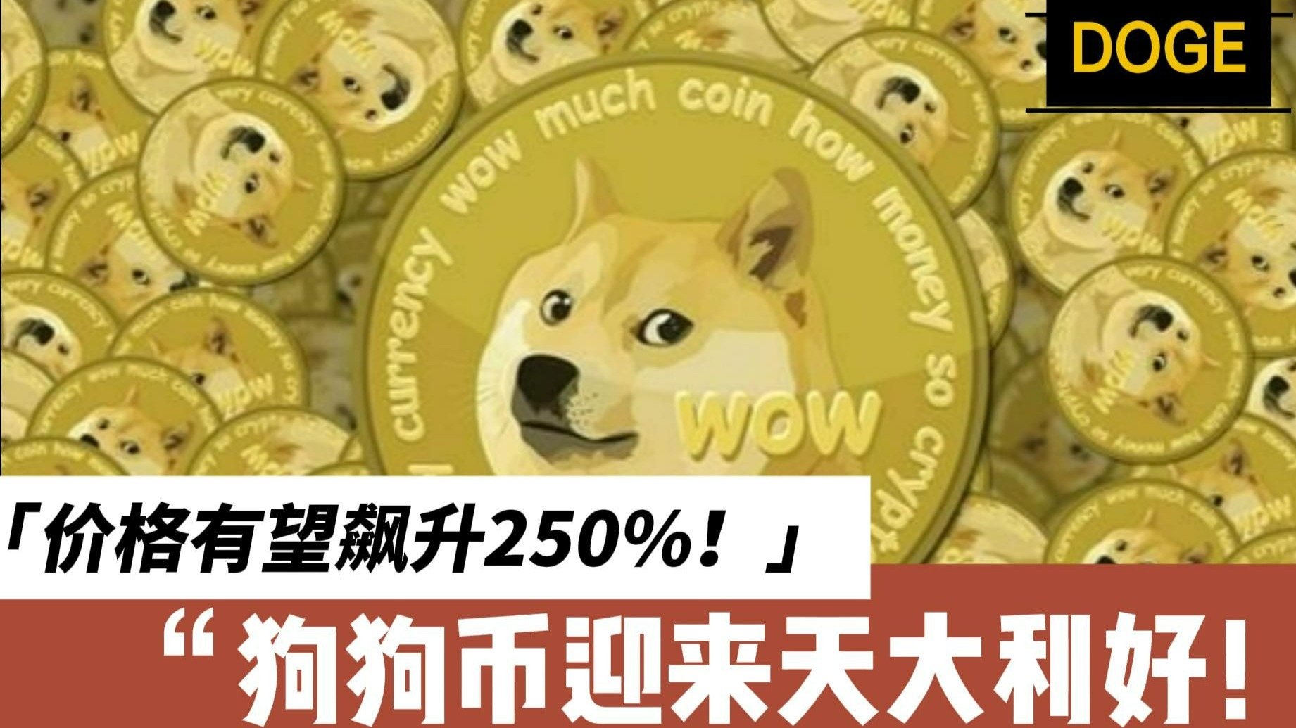 狗狗币上涨势惊人，一夜飙升2.51%，加密市场沸腾，投资者瞩目